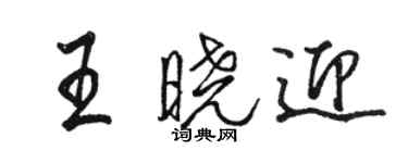 駱恆光王曉迎行書個性簽名怎么寫