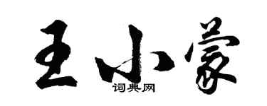 胡問遂王小蒙行書個性簽名怎么寫