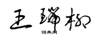 曾慶福王瑞柳草書個性簽名怎么寫