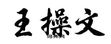 胡問遂王操文行書個性簽名怎么寫