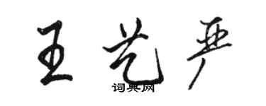 駱恆光王藝嚴行書個性簽名怎么寫