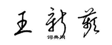 梁錦英王新苹草書個性簽名怎么寫