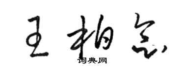 駱恆光王柏念草書個性簽名怎么寫