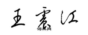 梁錦英王震江草書個性簽名怎么寫