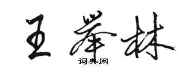 駱恆光王舉林行書個性簽名怎么寫