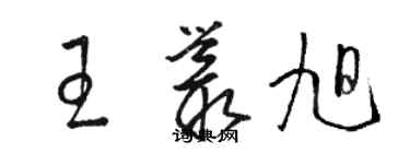 駱恆光王叢旭草書個性簽名怎么寫