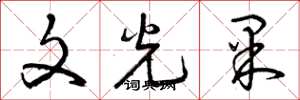 曾慶福文光果草書怎么寫