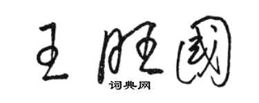 駱恆光王旺國草書個性簽名怎么寫