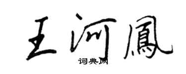 王正良王河鳳行書個性簽名怎么寫
