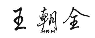 駱恆光王朝全行書個性簽名怎么寫