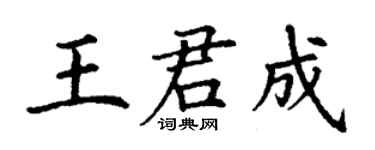 丁謙王君成楷書個性簽名怎么寫