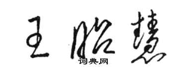 駱恆光王昭慧草書個性簽名怎么寫