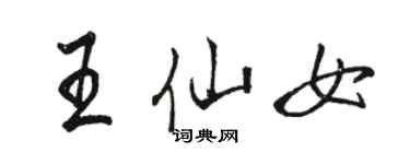 駱恆光王仙女行書個性簽名怎么寫