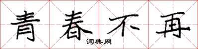 袁強青春不再楷書怎么寫