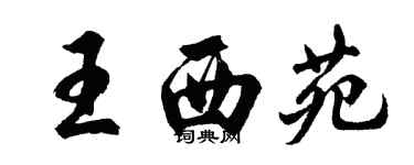 胡問遂王西苑行書個性簽名怎么寫