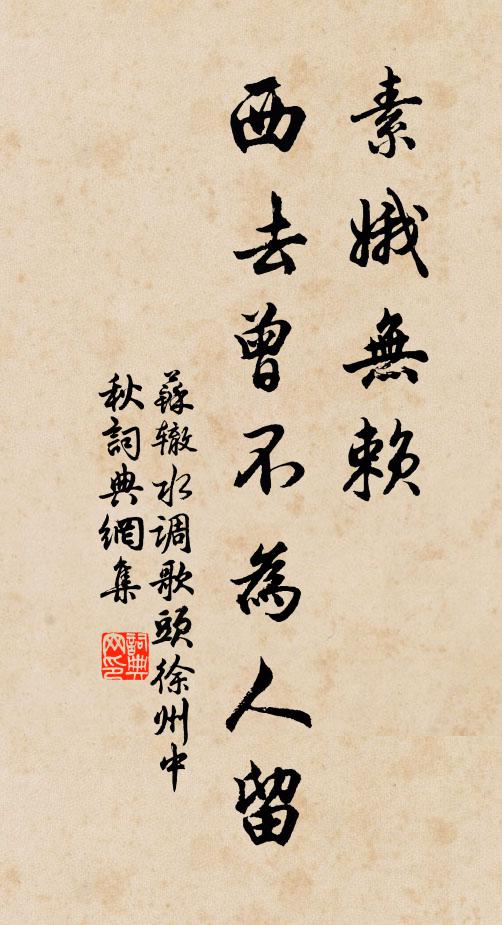 蘇轍素娥無賴,西去曾不為人留。書法作品欣賞