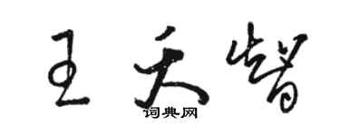 駱恆光王夭智草書個性簽名怎么寫