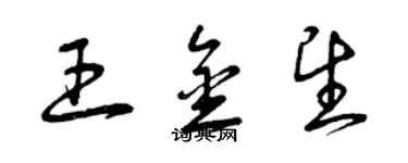 曾慶福王金望草書個性簽名怎么寫