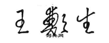 駱恆光王鄭生草書個性簽名怎么寫