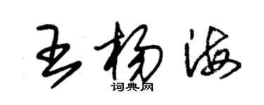 朱錫榮王楊海草書個性簽名怎么寫