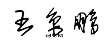 朱錫榮王魯鵬草書個性簽名怎么寫