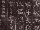 王守仁草書書法作品欣賞_王守仁草書字帖(第11頁)_書法字典