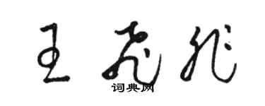 駱恆光王飛非草書個性簽名怎么寫