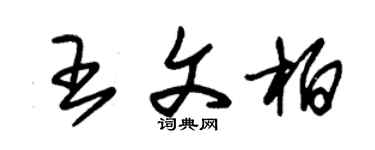 朱錫榮王文柏草書個性簽名怎么寫