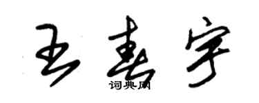 朱錫榮王春宇草書個性簽名怎么寫