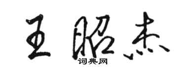 駱恆光王昭傑行書個性簽名怎么寫