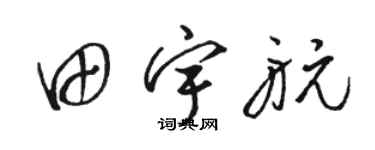 駱恆光田宇航草書個性簽名怎么寫