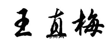 胡問遂王直梅行書個性簽名怎么寫