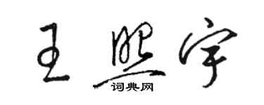 駱恆光王照宇草書個性簽名怎么寫