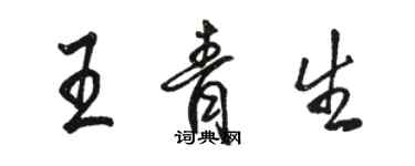 駱恆光王青生行書個性簽名怎么寫