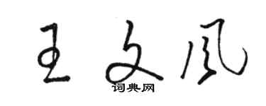 駱恆光王文風草書個性簽名怎么寫