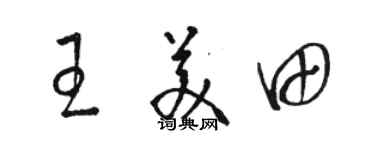駱恆光王美田草書個性簽名怎么寫