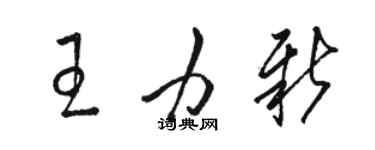 駱恆光王力新草書個性簽名怎么寫