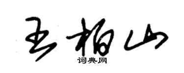 朱錫榮王柏山草書個性簽名怎么寫