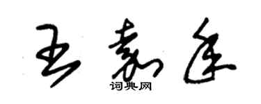 朱錫榮王嘉年草書個性簽名怎么寫