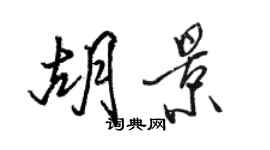 駱恆光胡景行書個性簽名怎么寫