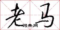 老馬怎么寫好看