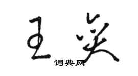 駱恆光王奕草書個性簽名怎么寫