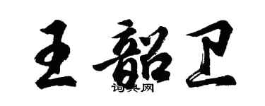 胡問遂王韶衛行書個性簽名怎么寫