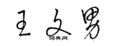 駱恆光王文男草書個性簽名怎么寫