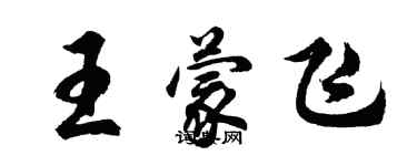 胡問遂王蒙飛行書個性簽名怎么寫