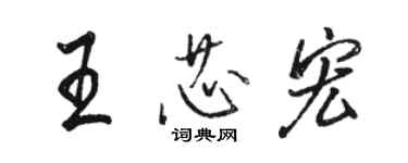 駱恆光王芯宏行書個性簽名怎么寫