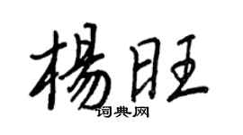 王正良楊旺行書個性簽名怎么寫
