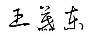 曾慶福王茂東草書個性簽名怎么寫