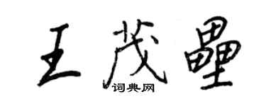 王正良王茂壘行書個性簽名怎么寫