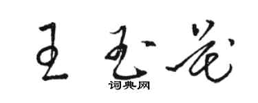 駱恆光王玉花草書個性簽名怎么寫